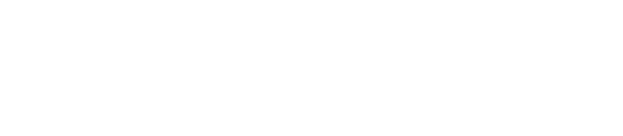 blue-wave-logo-white